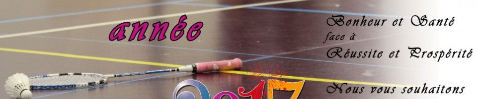 Voeuxbadminton2017